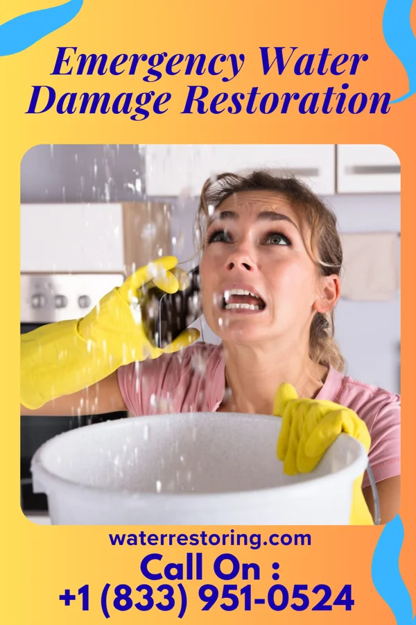 Emergency Water Damage Restoration in Hinckley, IL